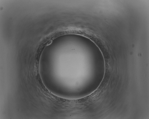 X0000070881493200606231329