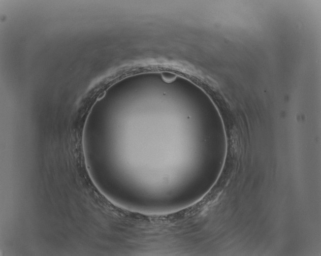 X0000070881494200606231329