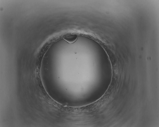 X0000070881495200606231329