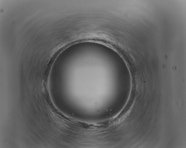 X0000070881497200606231329