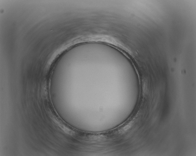 X0000070881498200606231329