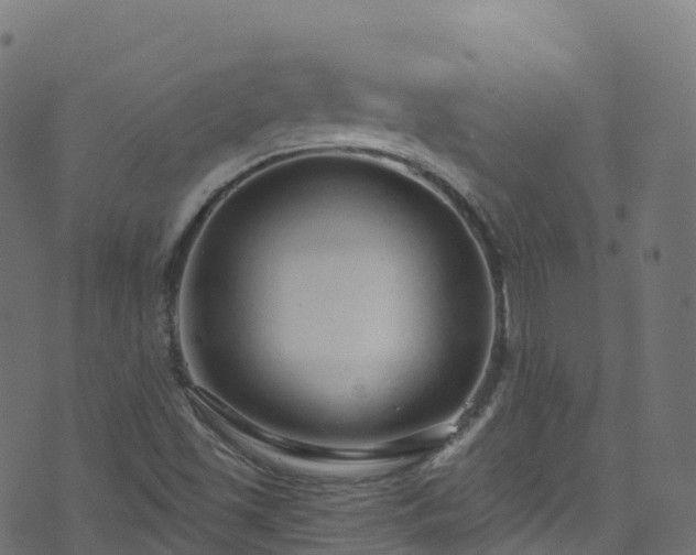 X0000070881501200606231330