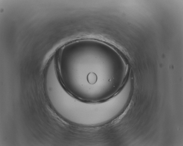 X0000070881502200606231330