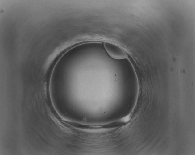 X0000070881503200606231330