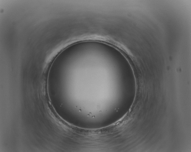 X0000070881504200606231330