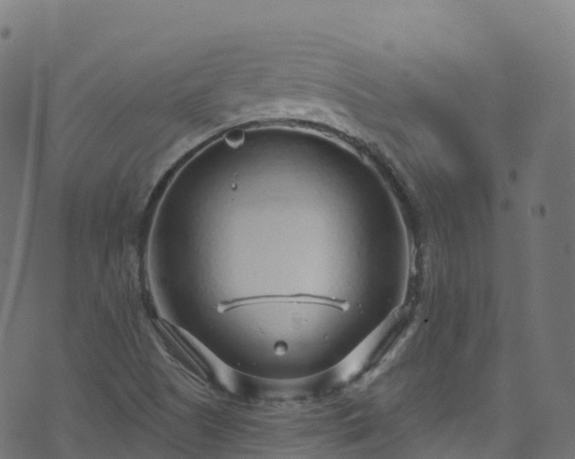 X0000070881505200606231330