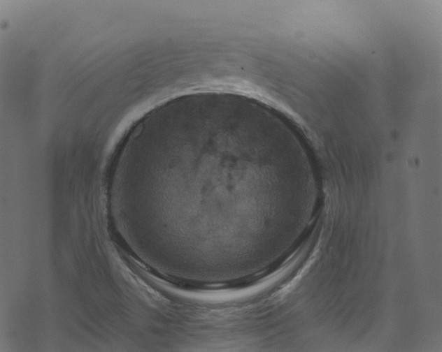 X0000070881506200606231330