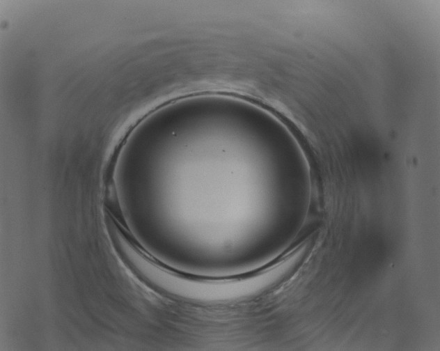 X0000070881508200606231330