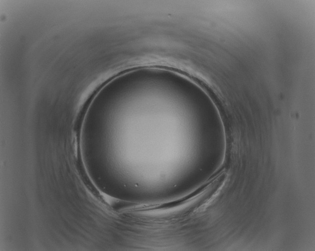 X0000070881509200606231330