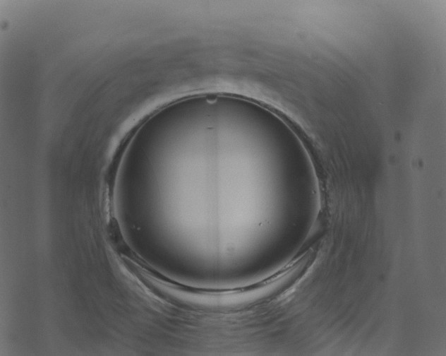 X0000070881510200606231330