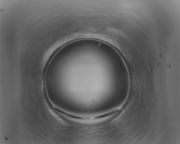 X0000070881511200606231330