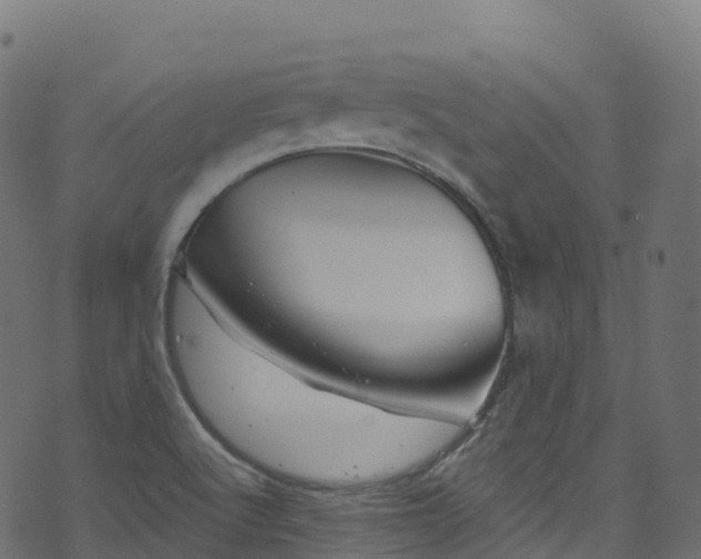 X0000070881512200606231330