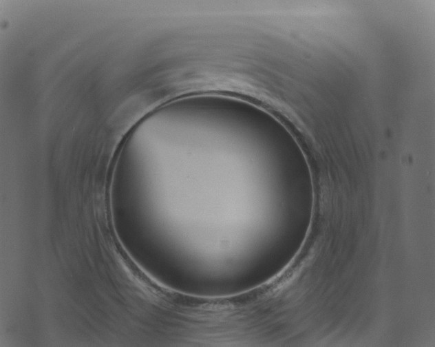 X0000070881513200606231330