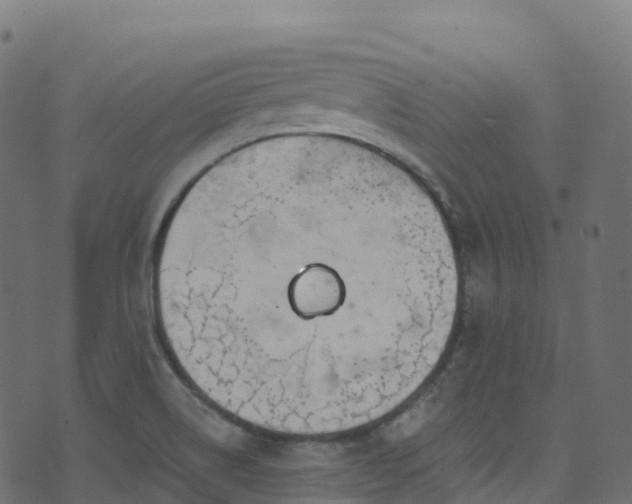 X0000070881514200606231330