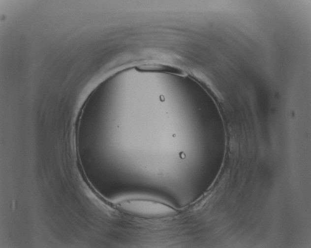 X0000070881516200606231330