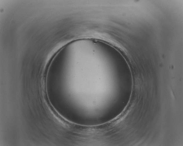 X0000070881517200606231330