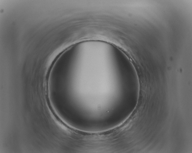 X0000070881519200606231330