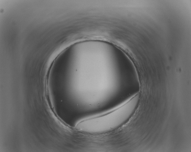 X0000070881520200606231330