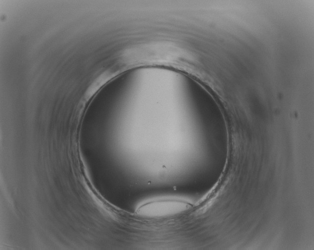 X0000070881521200606231330