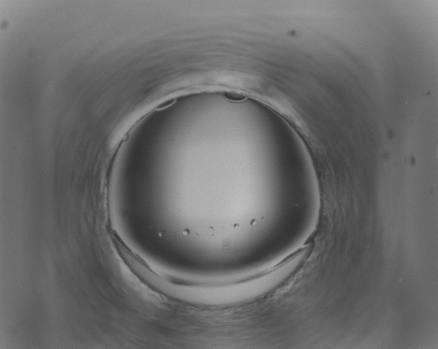 X0000070881524200606231330