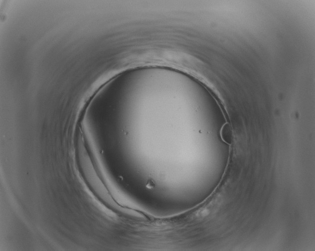 X0000070881525200606231330