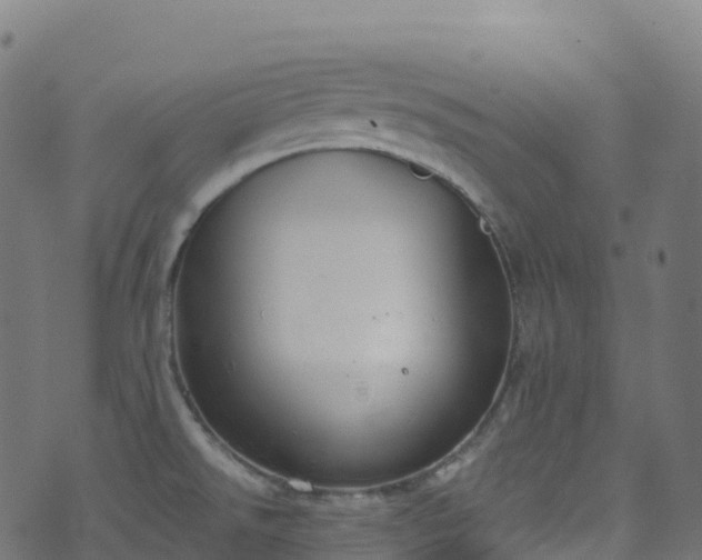 X0000070881526200606231330