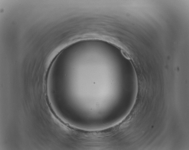 X0000070881527200606231330