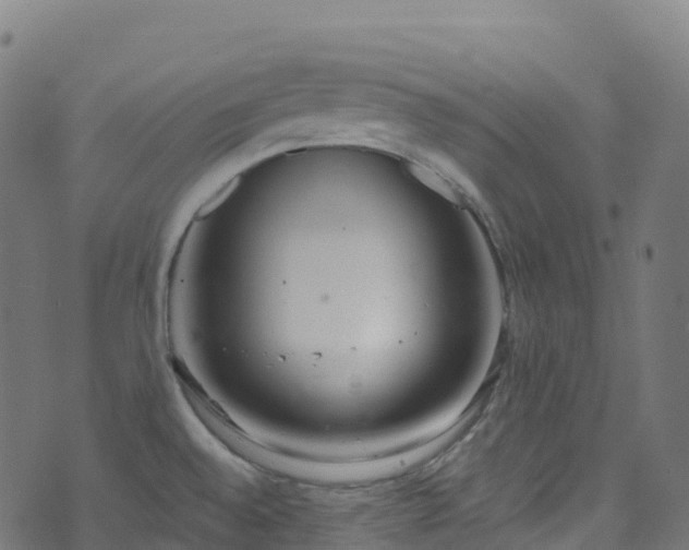 X0000070881528200606231330