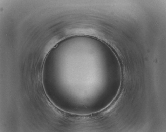 X0000070881529200606231330