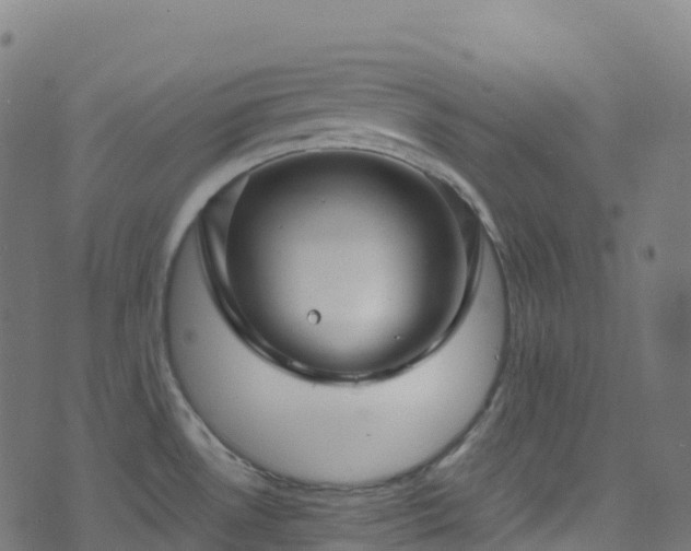 X0000070881530200606231330