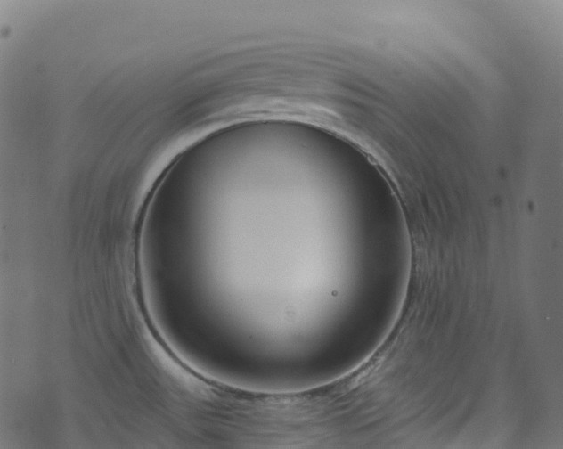 X0000070881531200606231330