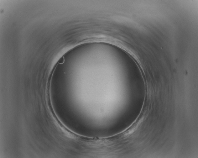 X0000070881533200606231330