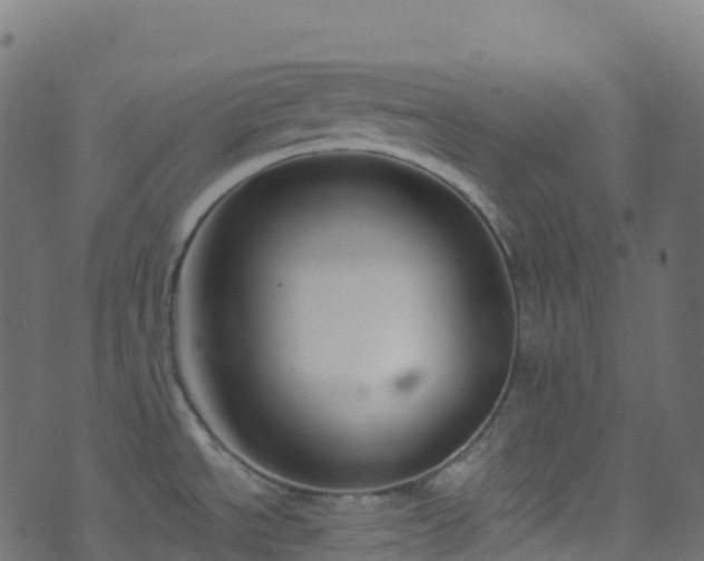 X0000070881534200606231330