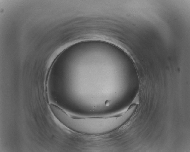 X0000070881535200606231330