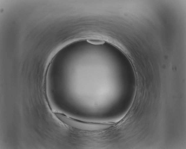 X0000070881536200606231330