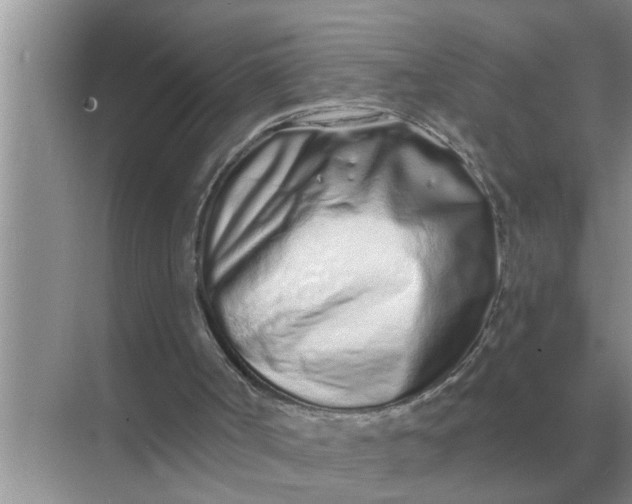 X0000070880002200606302149