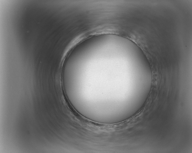 X0000070880004200606302149