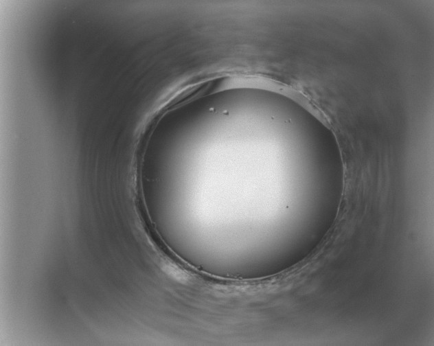 X0000070880005200606302149