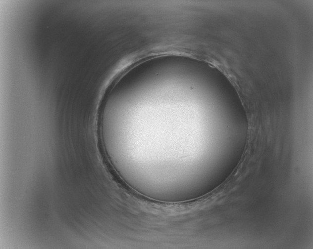 X0000070880006200606302149