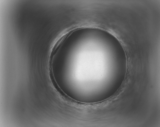 X0000070880007200606302149