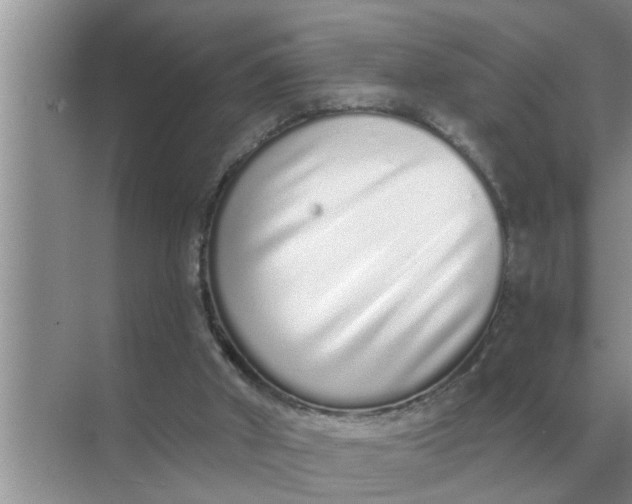 X0000070880010200606302149