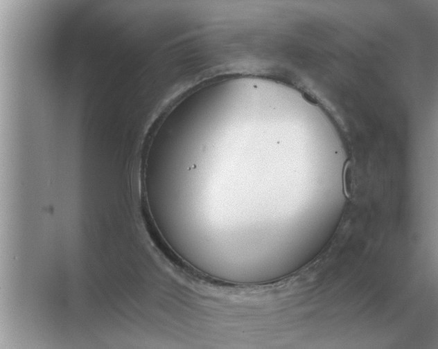 X0000070880011200606302149