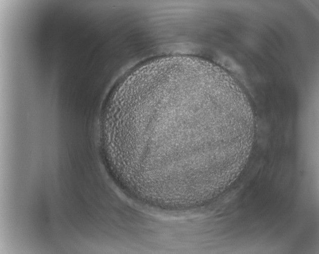 X0000070880012200606302149