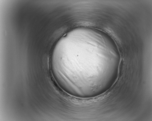 X0000070880014200606302149