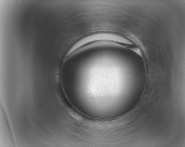 X0000070880017200606302149