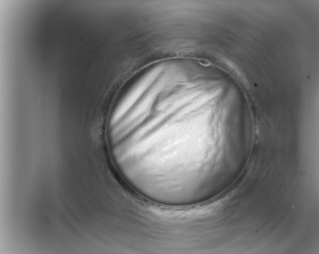 X0000070880018200606302149