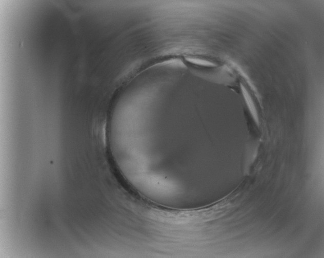 X0000070880019200606302149