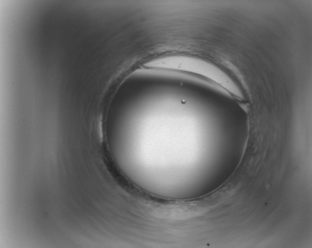 X0000070880020200606302149