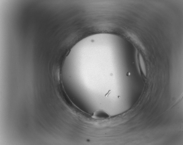 X0000070880021200606302149