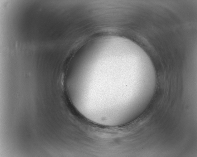 X0000070880024200606302149